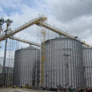 Flat-Bottom Grain Silos: Engineering, Economics, and Market Entry Strategies